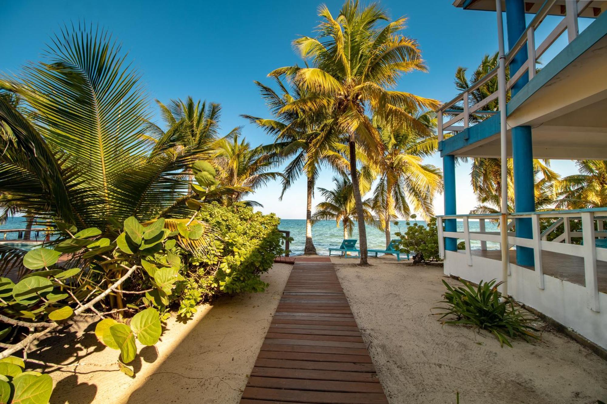 Beachside Villas Gold Standard Certified Placencia Δωμάτιο φωτογραφία