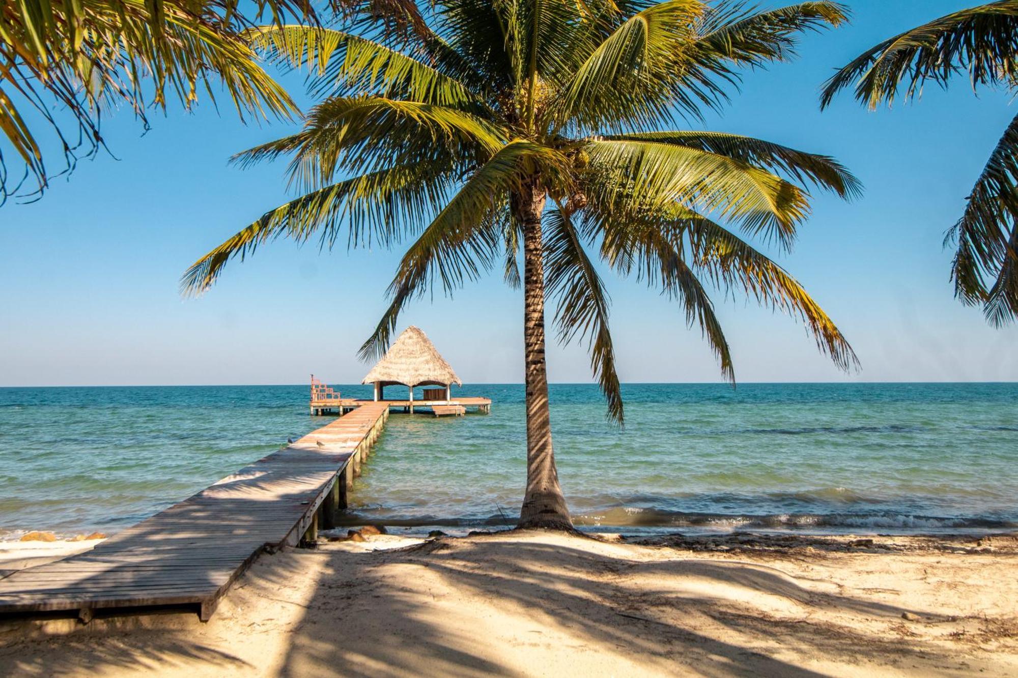 Beachside Villas Gold Standard Certified Placencia Δωμάτιο φωτογραφία