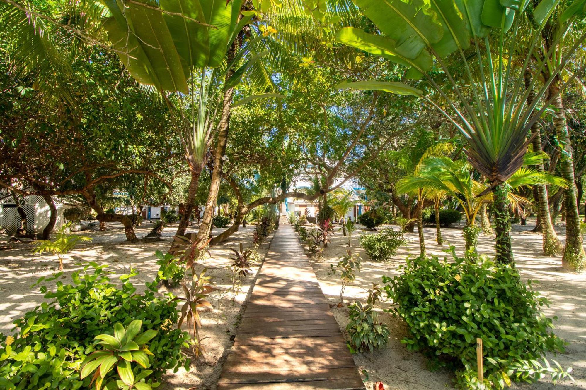 Beachside Villas Gold Standard Certified Placencia Δωμάτιο φωτογραφία