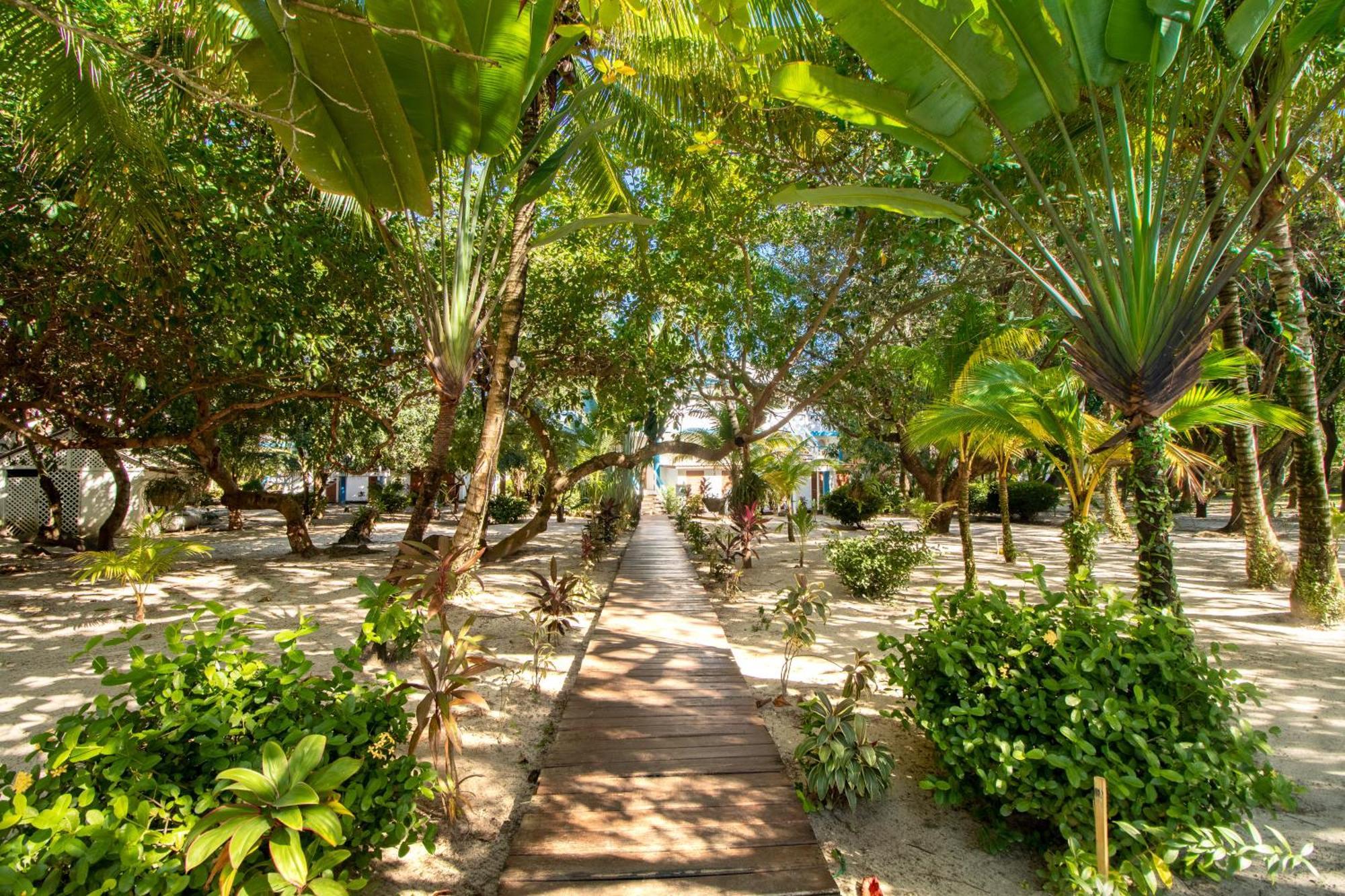 Beachside Villas Gold Standard Certified Placencia Δωμάτιο φωτογραφία